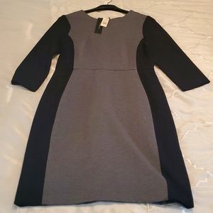 Talbott petite dress